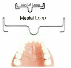 Dental Ortho Stainless Steel Loop 37-55mm Palatal Arch Bar Universal/Reversed