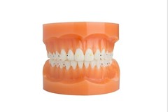 J&J Ortho™ CLARO™ Crystal Sapphire Orthodontic Bracket (12 Brackets) Hubit