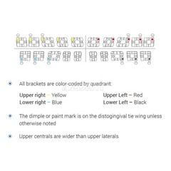 AZDENT Dental Orthodontic Metal Brackets Braces /Super Elastic Niti Arch Wires