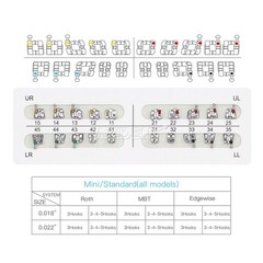 FDA AZDENT Dental Orthodontic Metal Brackets Braces Standard Roth.022 Hooks 345