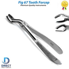 Feline Dental Kit Tooth Extraction Forceps Elevators Dentists & Veterinarians