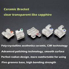 Dental Orthodontic Self Ligating Brackets Ceramic Braces Damon Clear Roth MBT