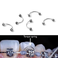 10Pcs/Bag Dental Orthodontic Tooth Torque Spring 16*22/17*25/18*25/19*25 Medium