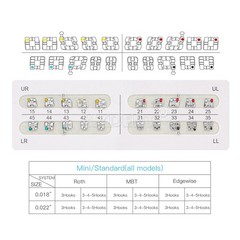 10pcs Dental Orthodontic Anterior Teeth Torque Rectangular Springs Closed Coil