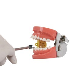 3 Sizes Dental Positioning Adjustable Angle Bracket Placement Height Gauge S/M/L