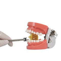 Dental Autoclavable Articulated Gauge Bracket Positioner S/M/L Locator Placement