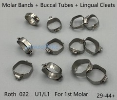Dental Orthodontic 1st Molar Bands Roth 022 Buccal Tubes Lingual Cleat #29-44+