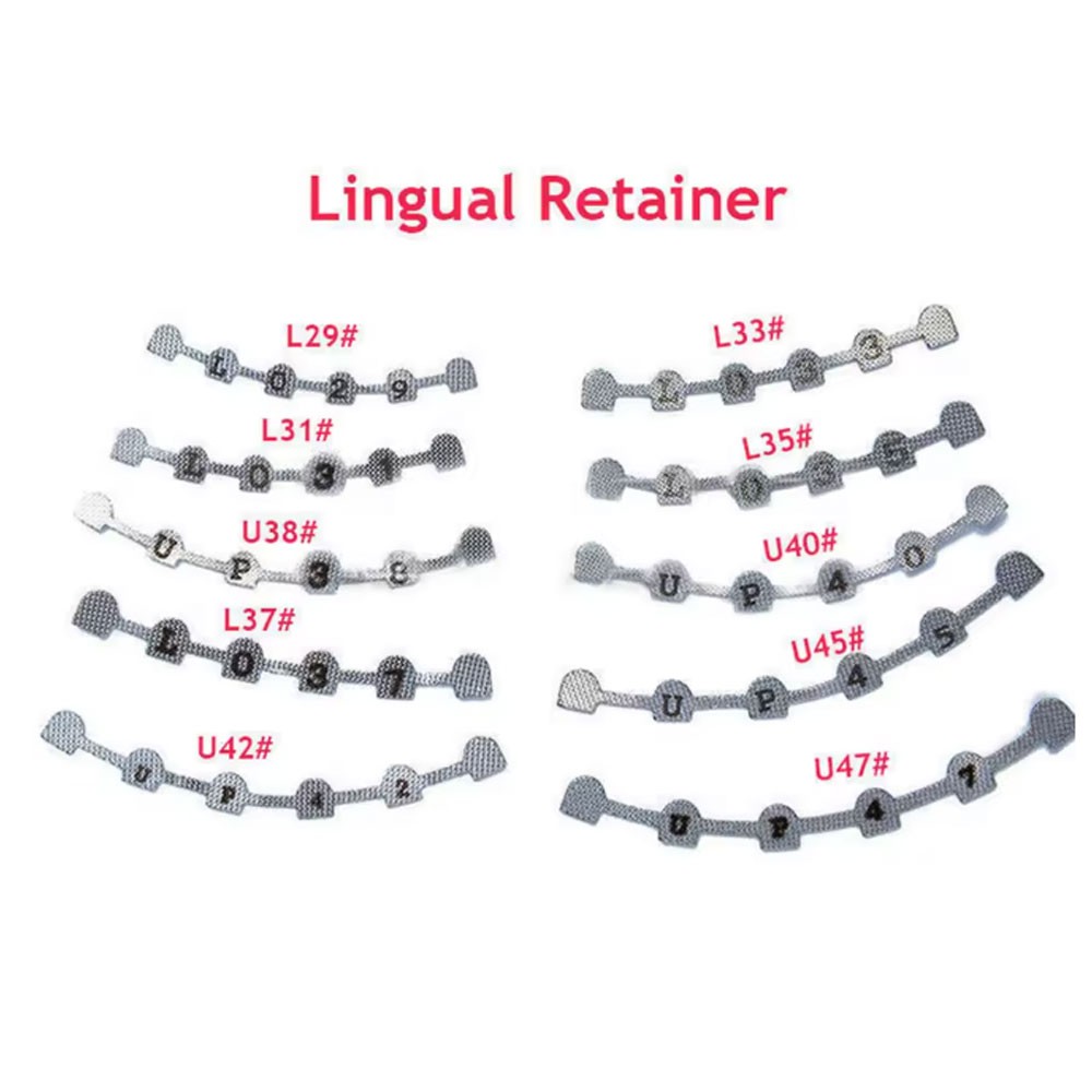 10Pcs/pack Dental Orthodonitc Lingual Retainer Bonding Splints U38#-47#/L29#-37#
