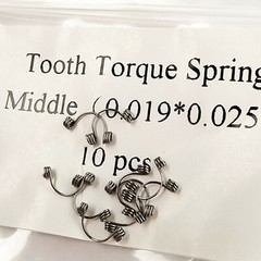 Dental Orthodontic Torquing Torque Spring Rectangular Anterior Teeth S/M/L 19*25