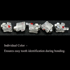 Dental Orthodontic Self Ligating Brackets Ceramic Braces Damon Clear Roth MBT