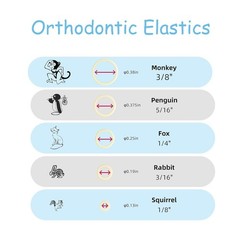 US Dental Orthodontic Elastics Rubber Bands Latex Braces 3.5OZ 5.0OZ 6.5OZ
