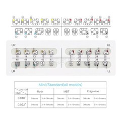 AZDENT Dental Orthodontic Metal Brackets Braces /Super Elastic Niti Arch Wires