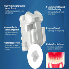 Dental Orthodontic Self Ligating Ceramic Bracket Damon Clear Braces AO Empower