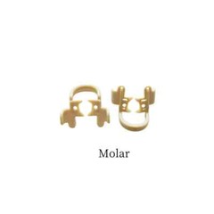 Dental Moisture Clip Cotton Roll Clips Premolar Molar Hemostatic Clamps Resin