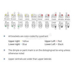 50Set AZDENT Dental Orthodontic Brackets Braces MIM Mini Roth 0.022 Hooks 3-4-5