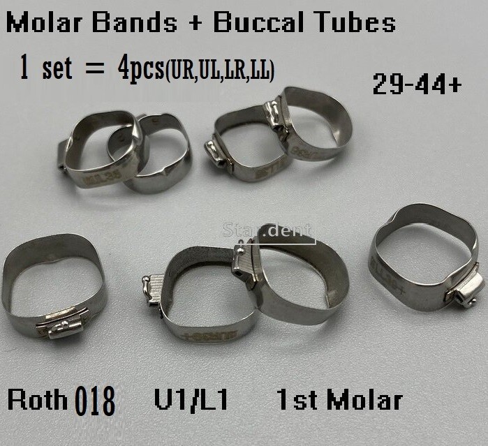 Dental Orthodontic 1st Molar Bands Buccal Tubes Roth 018 U1/L1 Size #29-44+