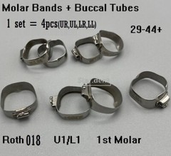 Dental Orthodontic 1st Molar Bands Buccal Tubes Roth 018 U1/L1 Size #29-44+