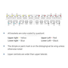 AZDENT Dental Orthodontic Metal Brackets Braces/Super Elastic Niti Arch Wires US