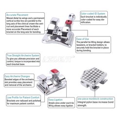 Dental Orthodontic Brackets Metal Braces/Super Elastic Niti Arch Wires Nature